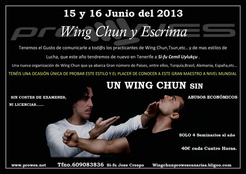 wing chun prowes