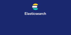 ElasticSearch From Bottom Up