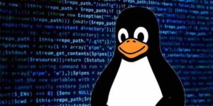 Important Linux Bash Commands