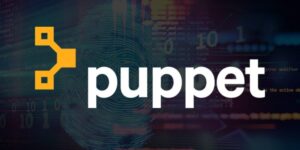 How does Puppet work?