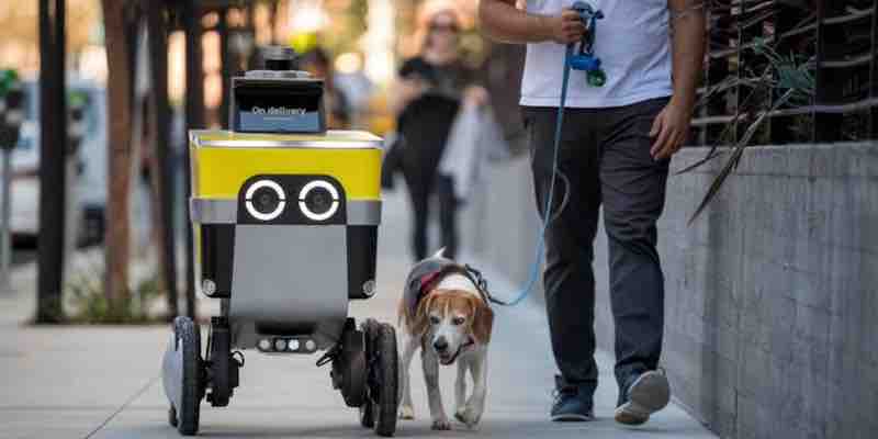 Robo-Runners on the Rise: The Tug-of-War Between Food Delivery Bots and Public Sentiment