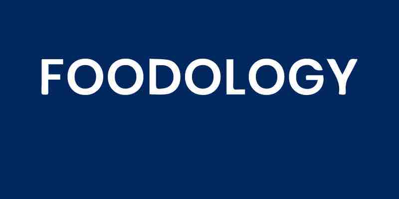 Foodology Raises US$17 Million to Expand its Cloud Kitchen Platform in Latin America