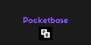 PocketBase's Harmony with Modern Frontend Ecosystems