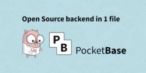 PocketBase: Simplicity and Efficiency through Single-File Backend Consolidation